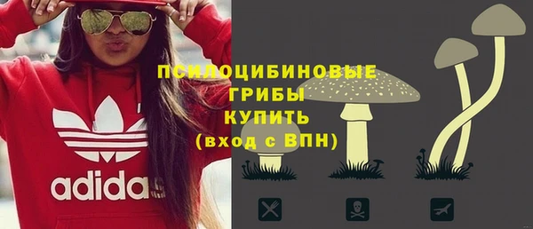 крисы Беломорск