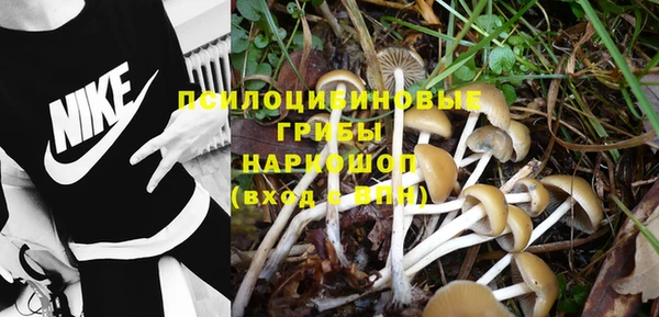 крисы Беломорск