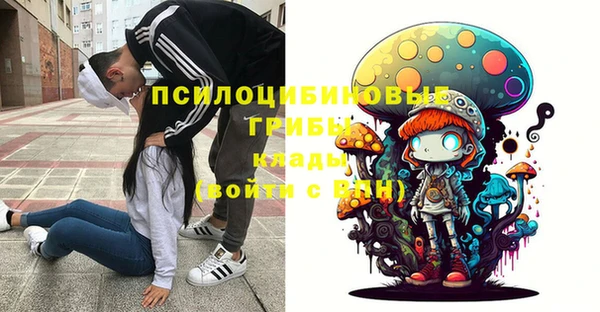 бошки Белокуриха