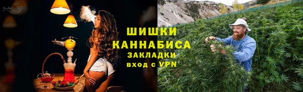 бошки Белокуриха